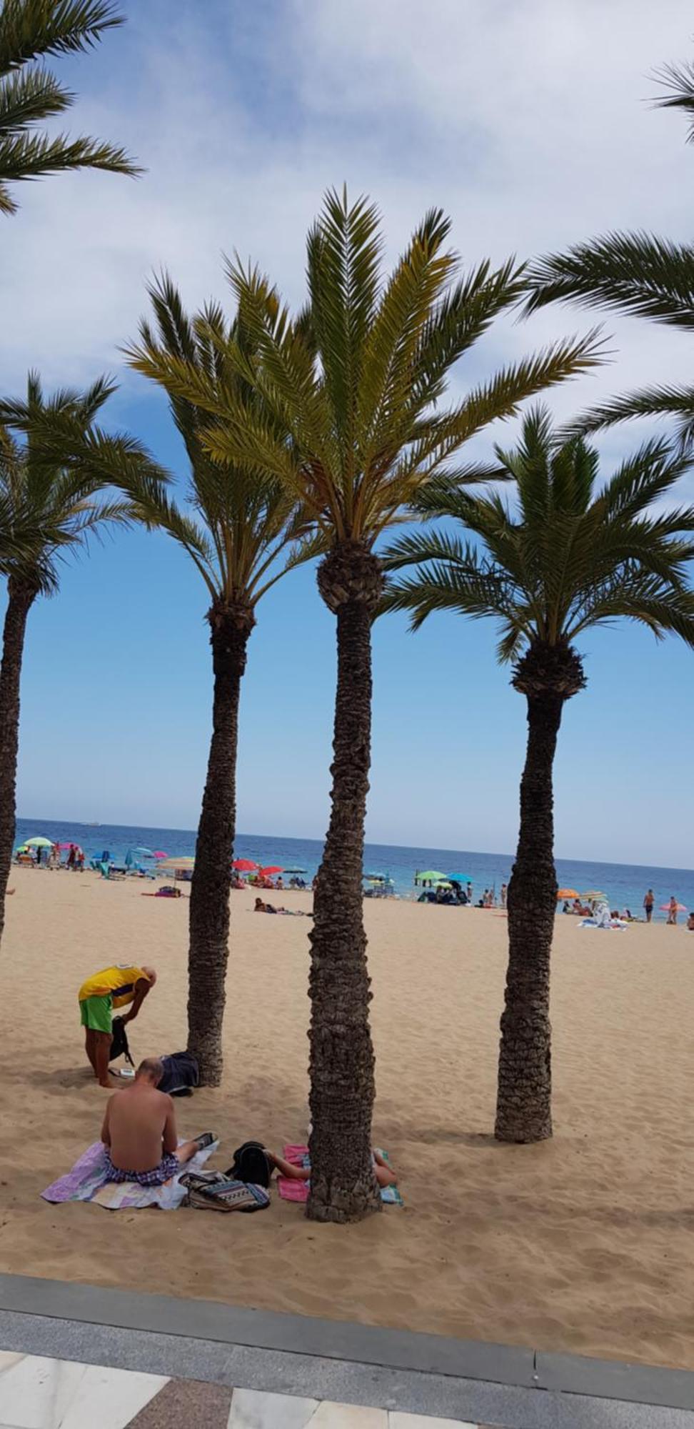 Benidorm Beach Lägenhet Exteriör bild