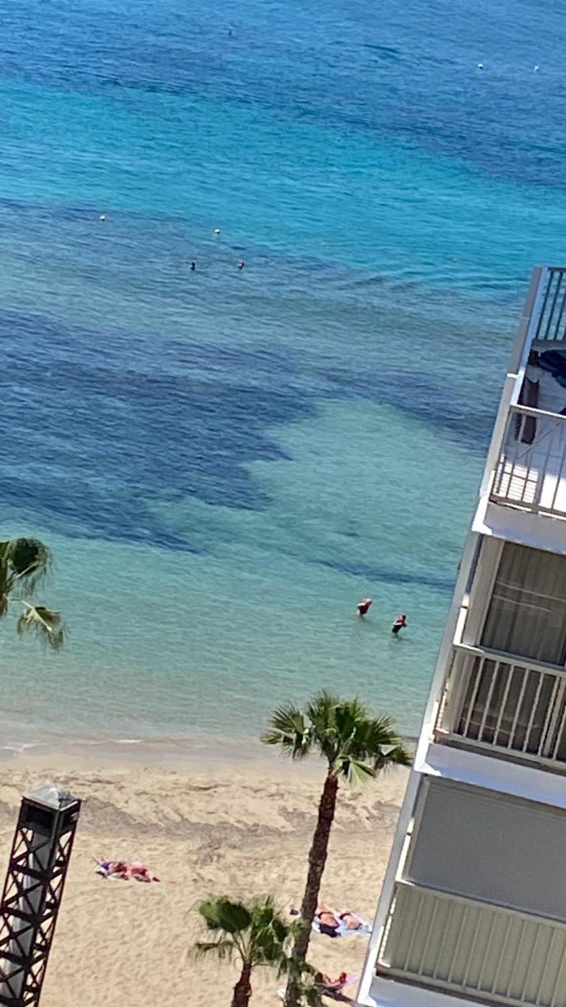 Benidorm Beach Lägenhet Exteriör bild